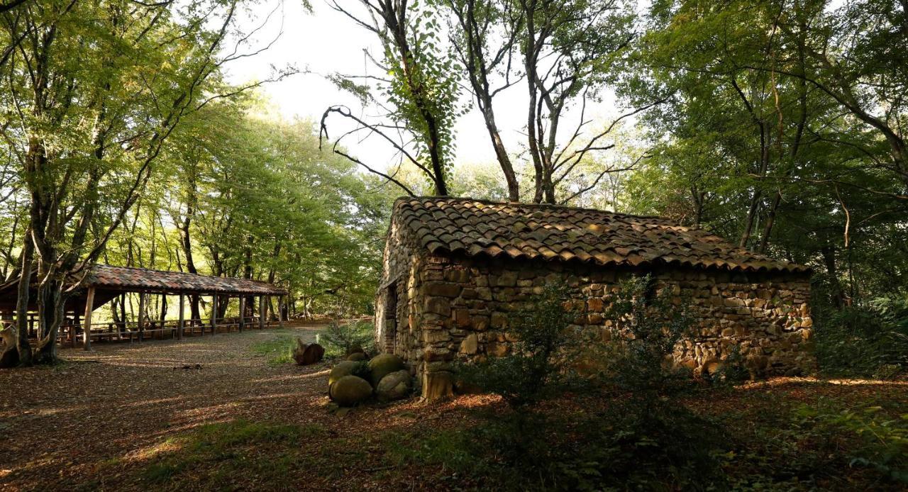 Hotel Babaneuris Marani